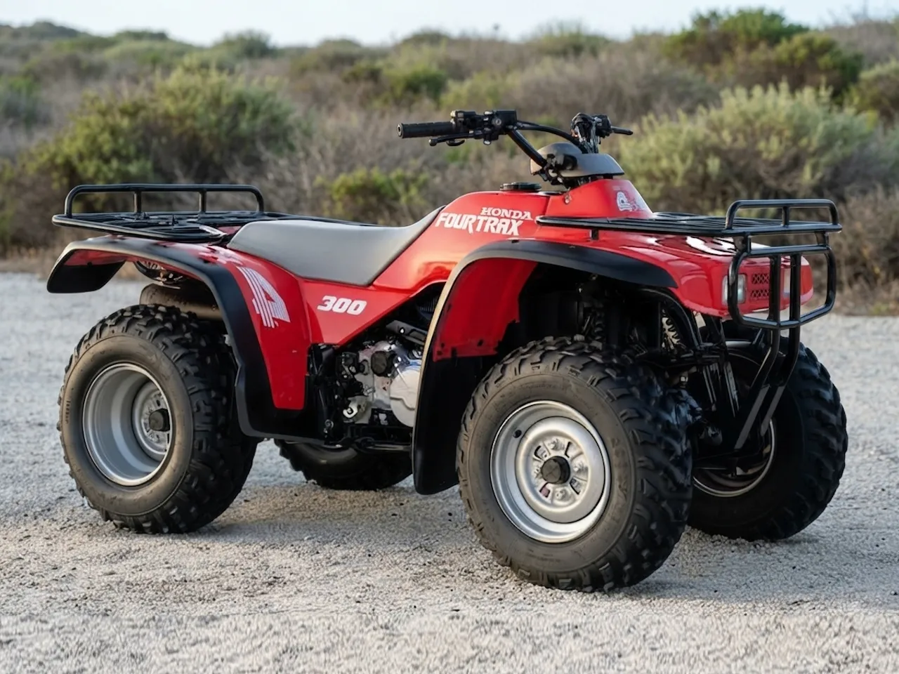 Aventura del día: Honda FourTrax 300