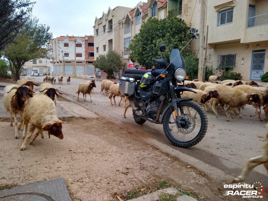 15 dias por Marruecos con Royal Enfield Himalayan 82
