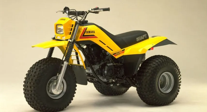 Yamaha 225 DX (1)